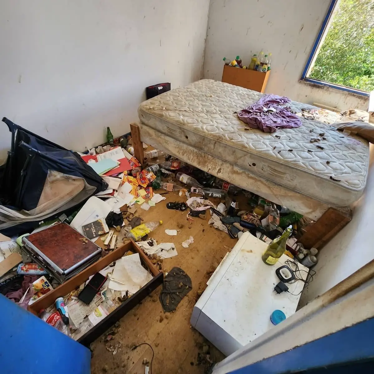 Chambre insalubre avant intervention Diogène