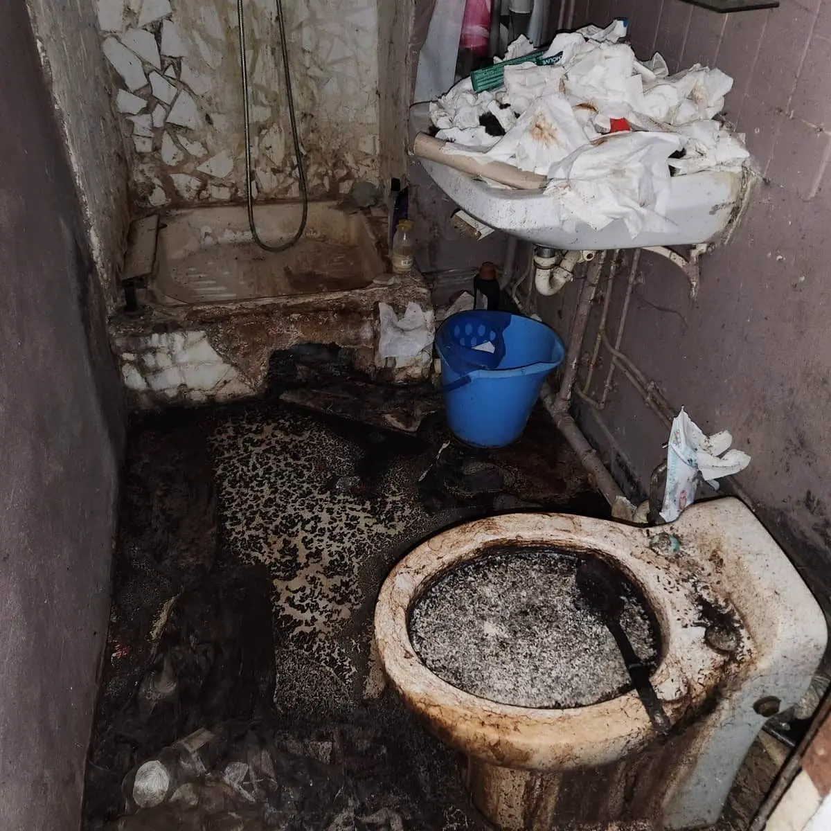 Toilettes insalubres avant intervention spécialisée